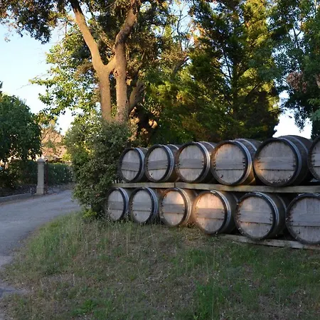 Gasthof Wellington Guest In The Heart Of The Vineyard No1205