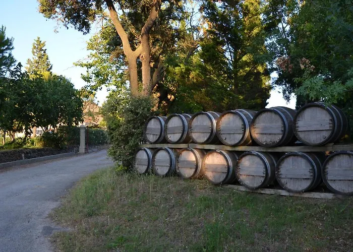 Gasthof Wellington Guest In The Heart Of The Vineyard No1205